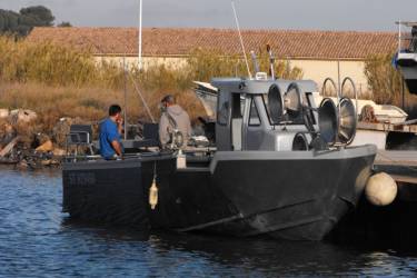 Bateaux de pêche, Bateaux de plaisance