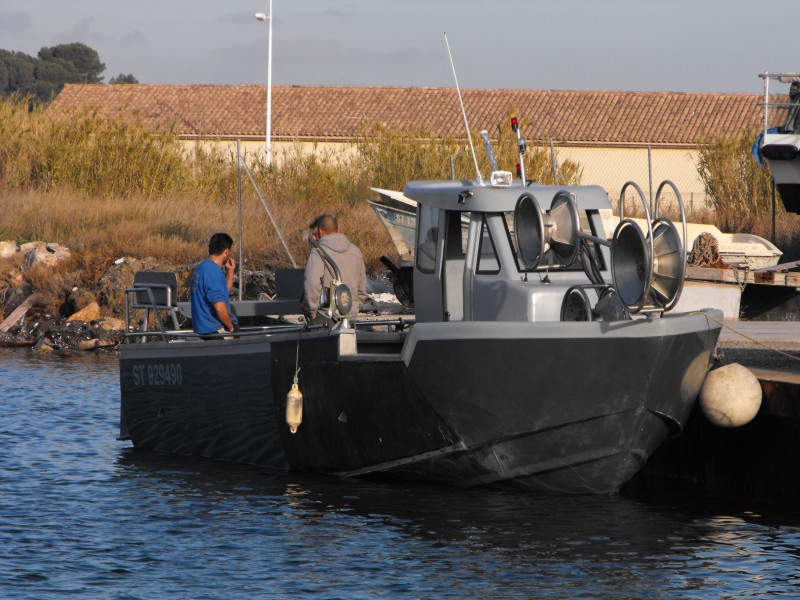 Bateaux de pêche, Bateaux de plaisance