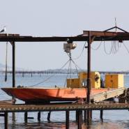Bateaux ostreicoles et conchylicoles