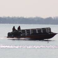 Bateaux ostreicoles et conchylicoles