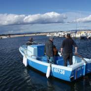 Bateaux de plaisanc